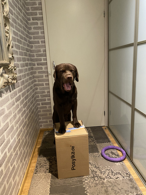 43-FCC8-BF-1435-4-B7-A-80-F0-8-CEEF116-A