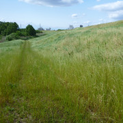 2020-05-24-033