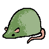 rat1164.png