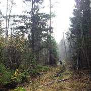 IMG-4481