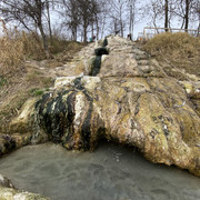 IMG-6045