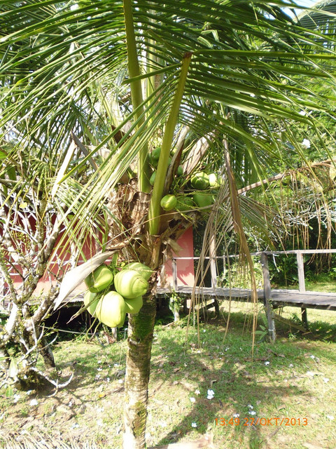 P1000798