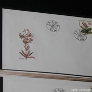 IMG-2553
