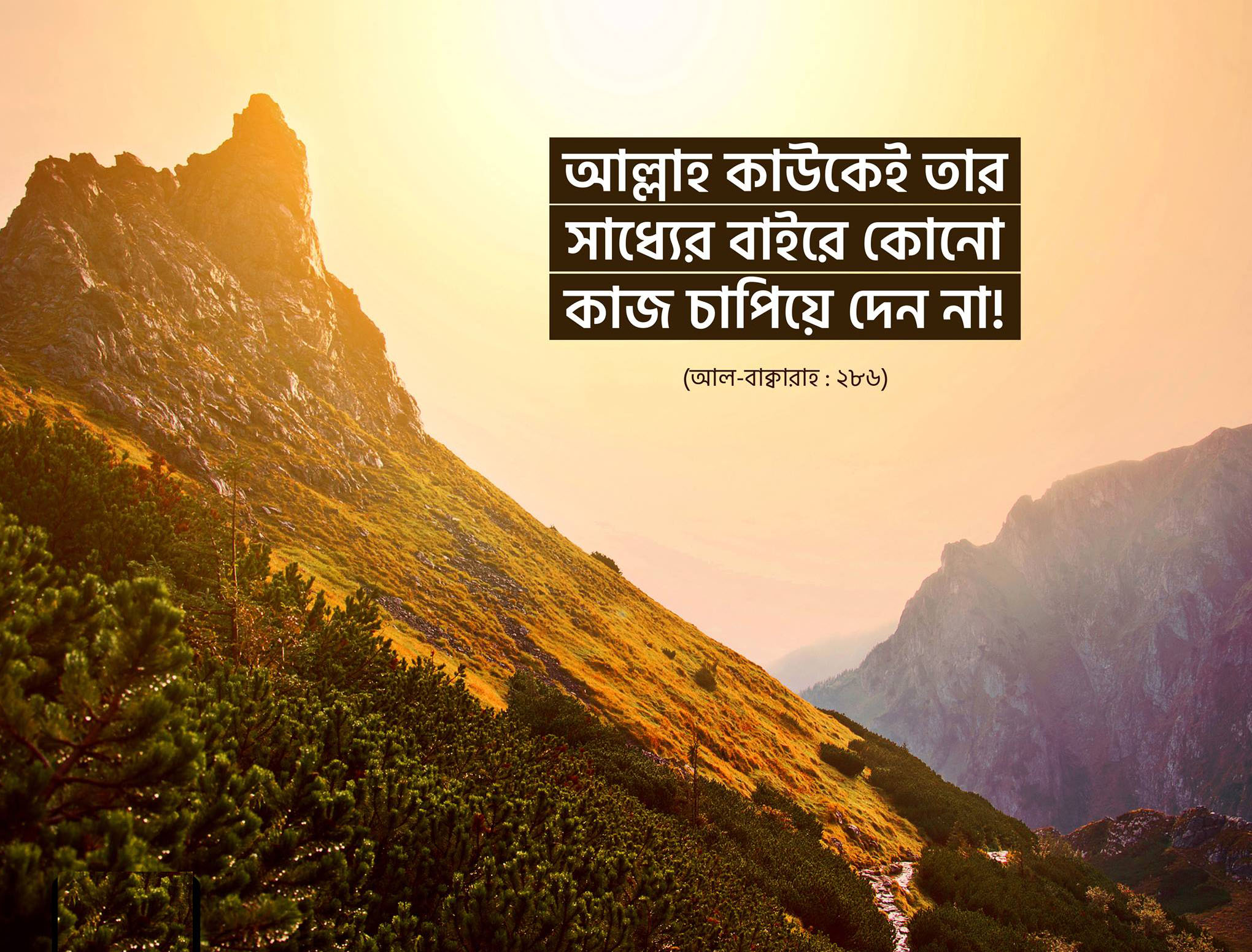 বাণী চিত্র