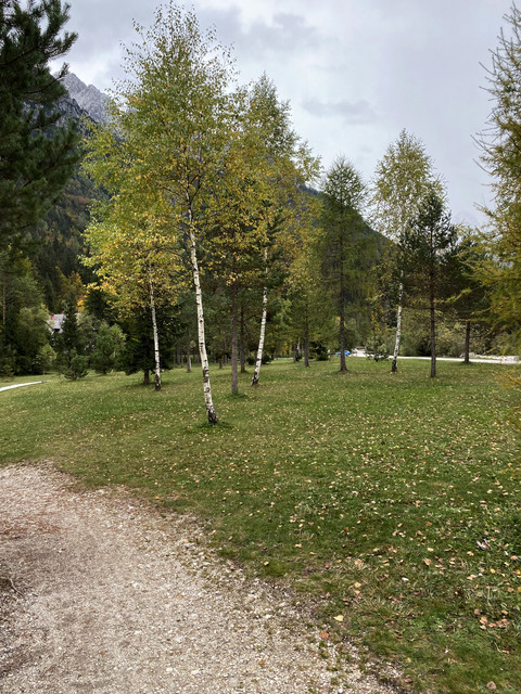 IMG-3138