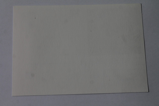 IMG-4983.jpg