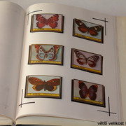 IMG-3981