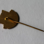 IMG-6815