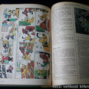 IMG-2446