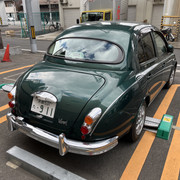 IMG-2941