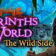 Labyrinthsworld11beta