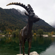 IMG-0165