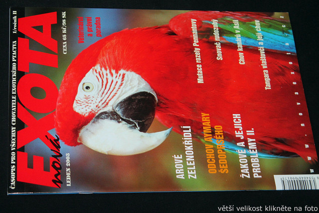 IMG-7796
