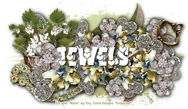 Jewels-4365-B