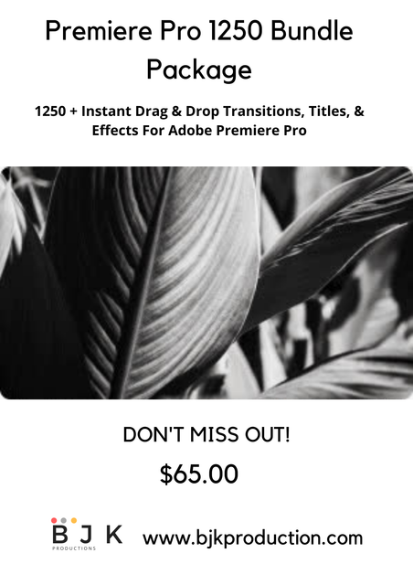 Premiere-Pro-1250-Bundle-Package-7.png
