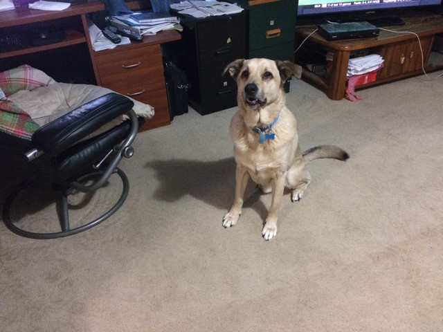 Louie