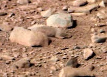 Lemming-small.jpg