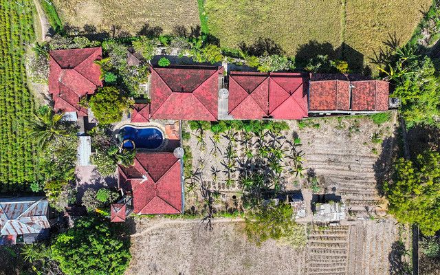 overhead-view.jpg
