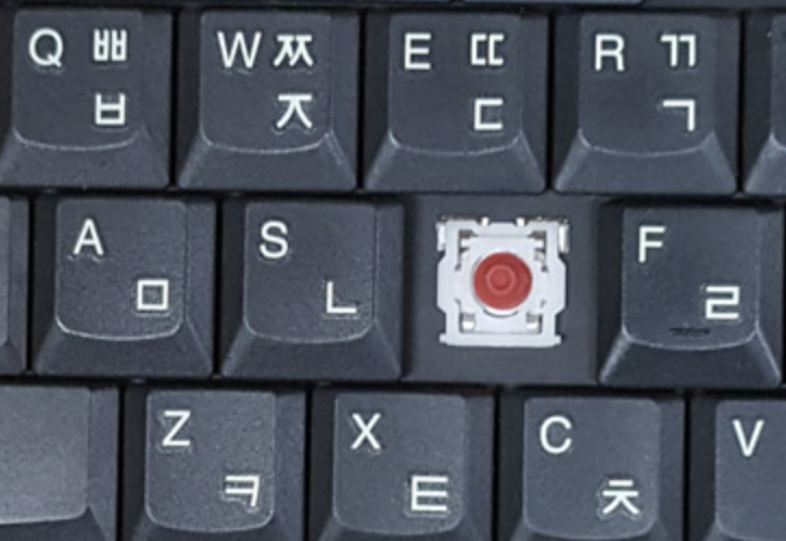 https://i.ibb.co/Y3968kj/03.png