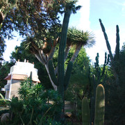 DSC-6818