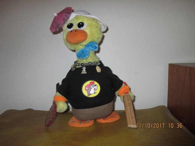 Mr Duck.jpg
