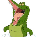 crocodile01