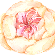 Blush-Elements-01