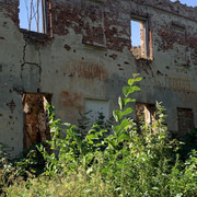 IMG-3425