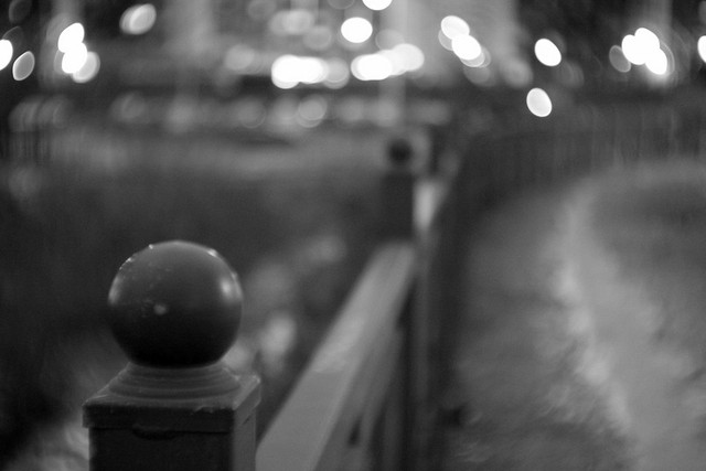 P1250931.jpg