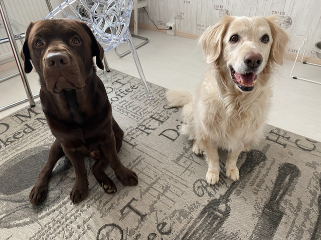 15-D1-D9-C0-5-C59-4-BFB-85-DC-035-B2-C18