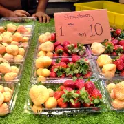 Kea Market19