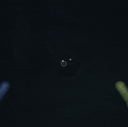 Mini Critters.gif