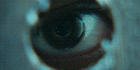 https://i.ibb.co/Y43XLzjc/a1f4d196dc41e7948276b59cb6f35487.gif