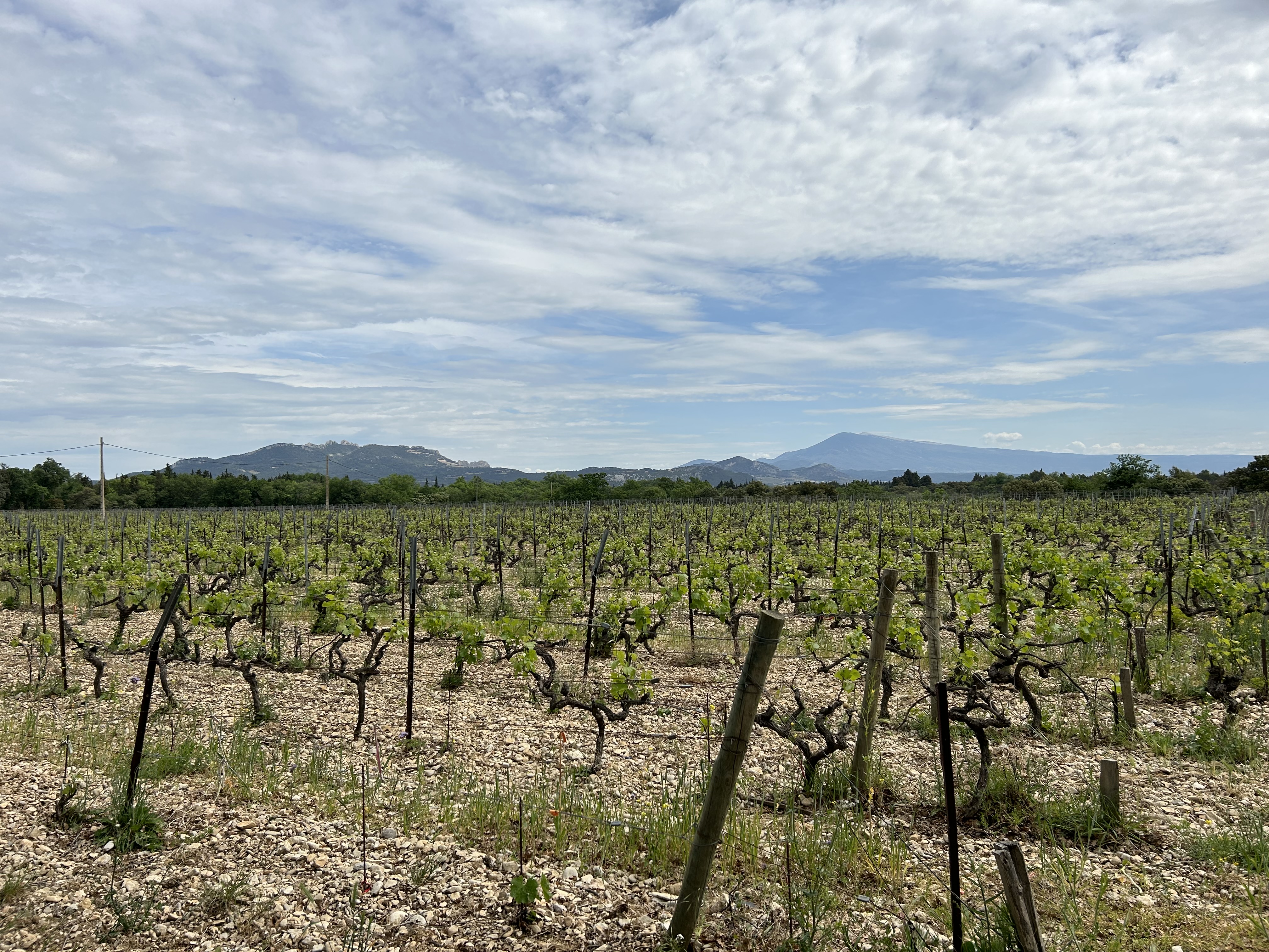Domaine Montirius