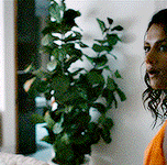 44Untitled 2.gif