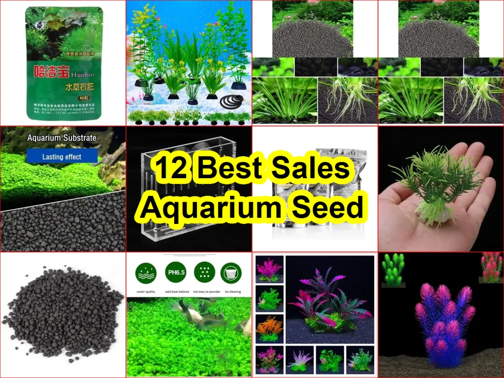 水族箱種子 評價
