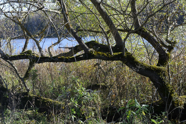 DSC7533.jpg
