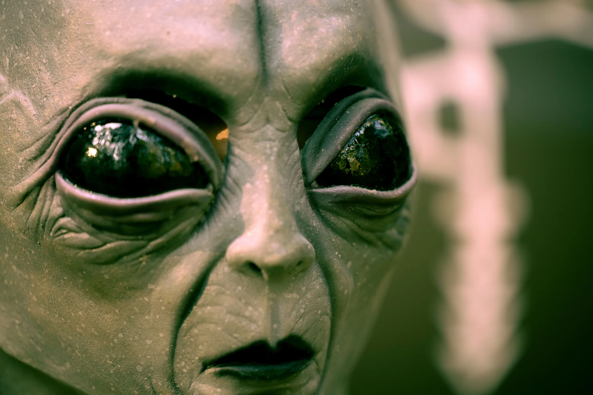 High quality Alien Wallpaper wallpaper by Stephen Leonardi from Pexels