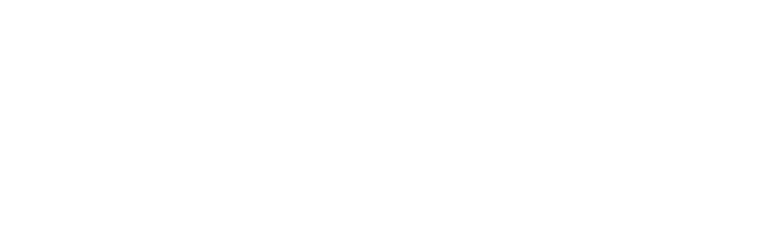 USACH Logo