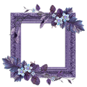 cluster-frame-150