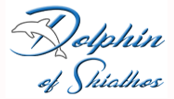 32-DOLPHINpng.png