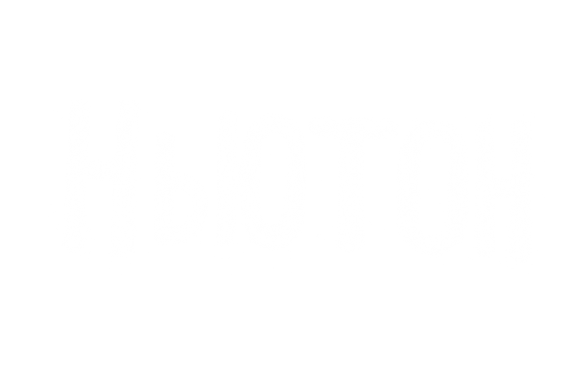White Ньюто Н Plus.png