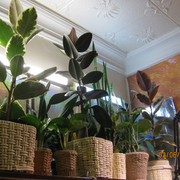 IMG 6399