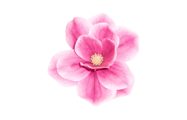 shutterstock 2280429641.jpg