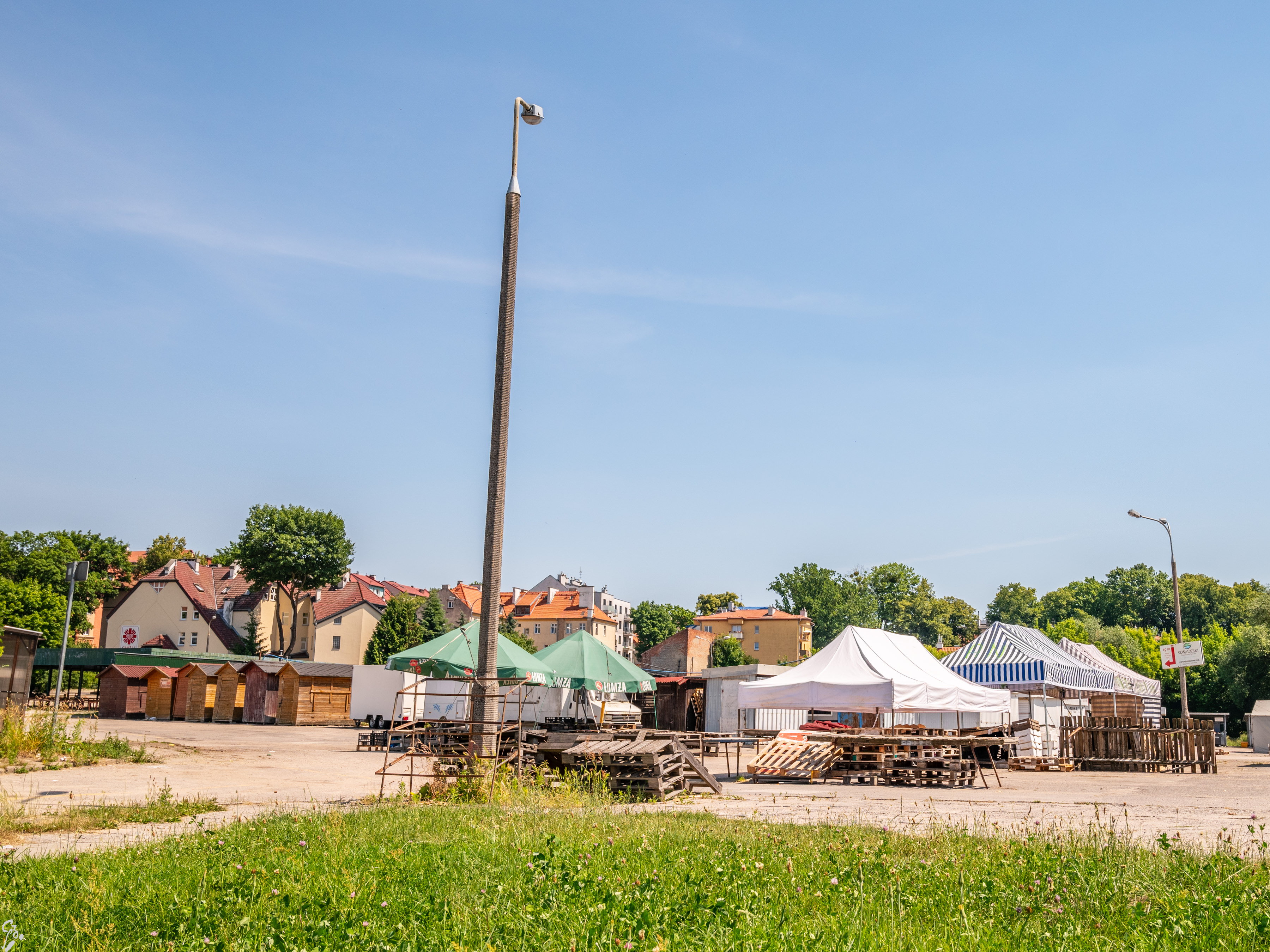warmia d2 21