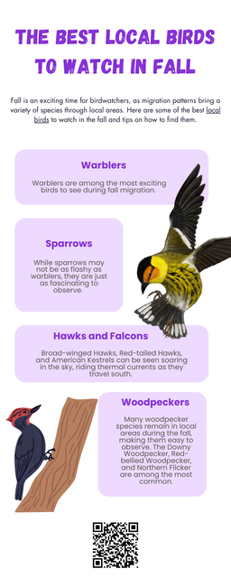 Fall is a great time to observe local birds as migration brings a variety of species. Warblers, sparrows, hawks, and waterfowl are commonly seen during this season. Woodpeckers and American Robins remain active, while Cedar Waxwings gather in fruiting trees. With changing landscapes and cooler temperatures, fall birdwatching offers a unique opportunity to spot diverse bird species in their seasonal transitions. To know more visit here https://wildbirdguide.com/category/local-birds/