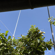 IMG 7437