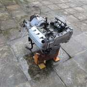 IMG 0416
