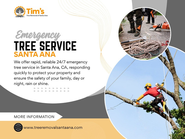 Emergency Tree Service Santa Ana.jpg