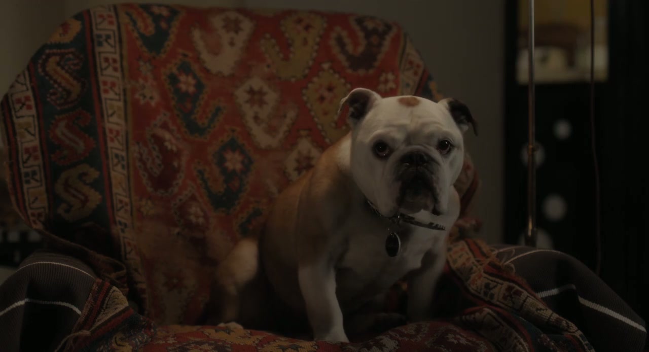 Paterson Screenshot